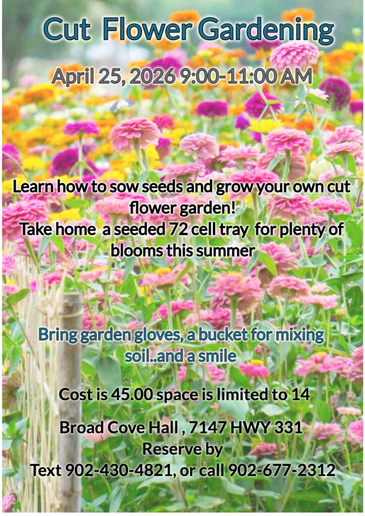 Cut flower Workshop with Brenna vanTol